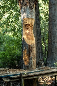 Carving a totem