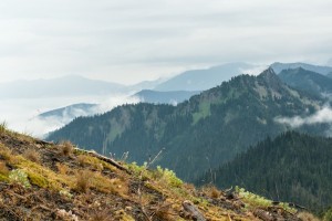 Hurricane Ridge: always on the must-see list