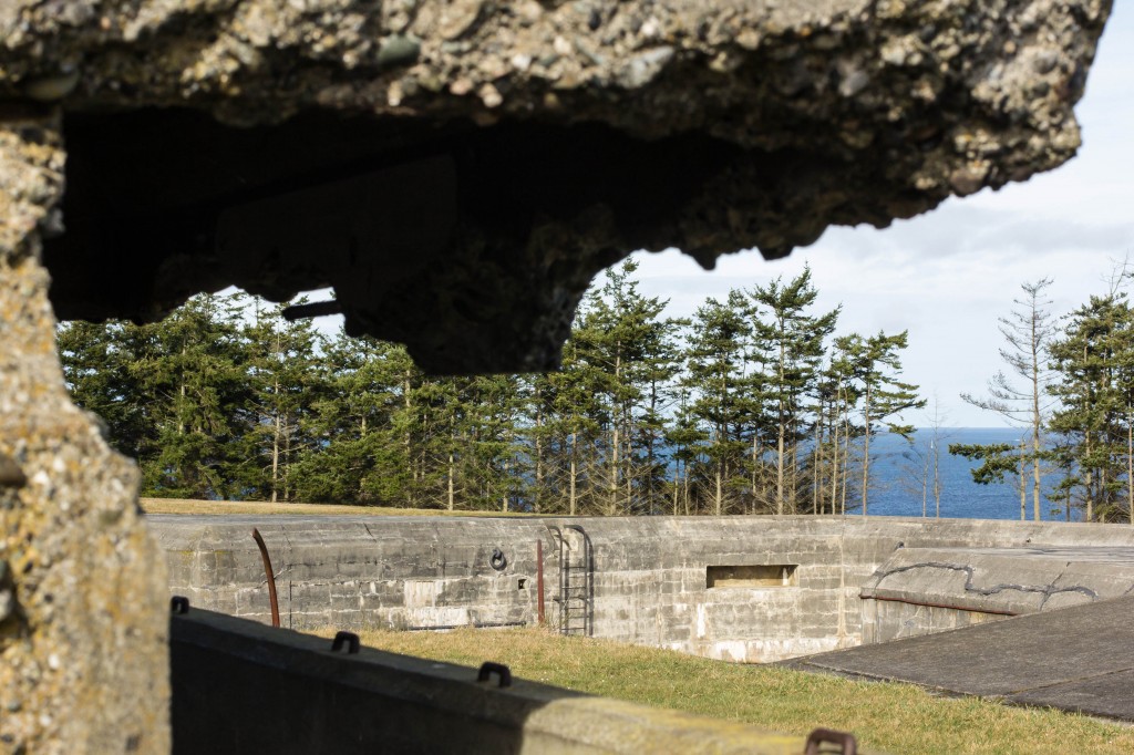 View from inside the bunker