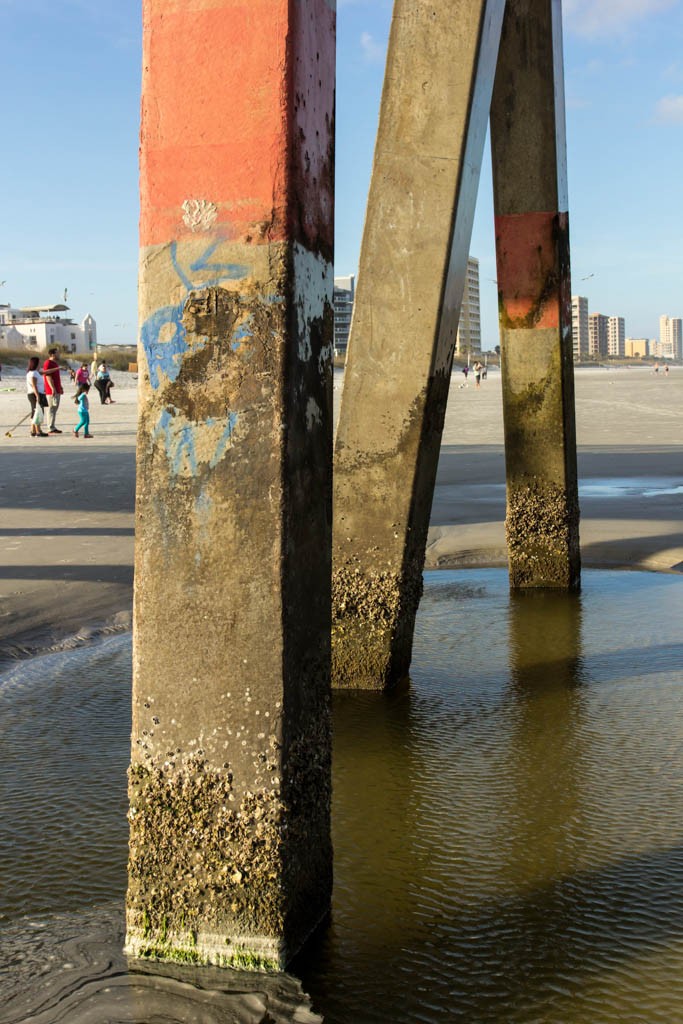 Pilings under the pier