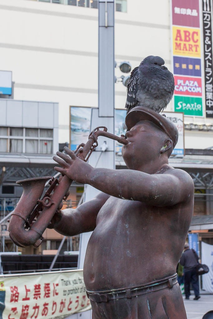 This made me laugh.  The bird looks so angry and the dude looks like he's really into that sax. Also that bird is suuuuper fluffy and I really wanna just squeeze it.