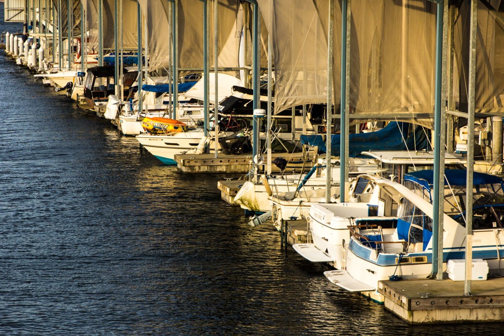 Boats all lined up in a row. I posted pics of my actual boat last time. She's not in this lineup. 