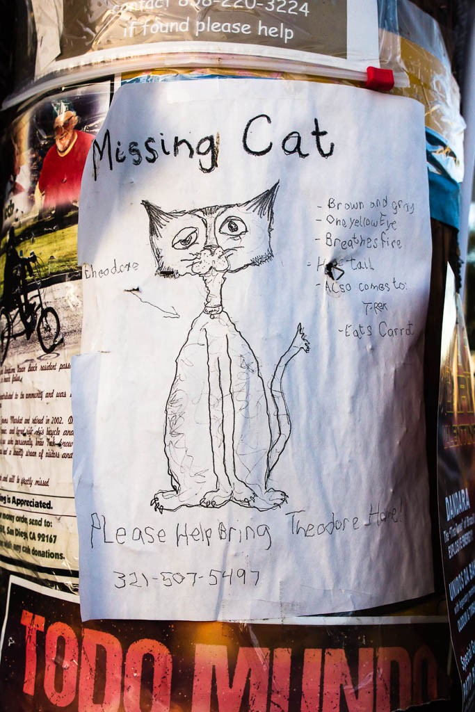 Hilarious missing cat poster.  I'm sure he looks just like that in real life.