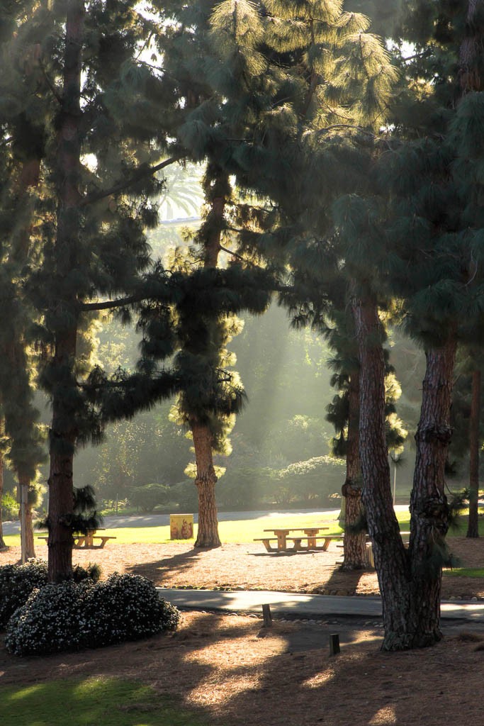 I ate a granola bar at the park bench