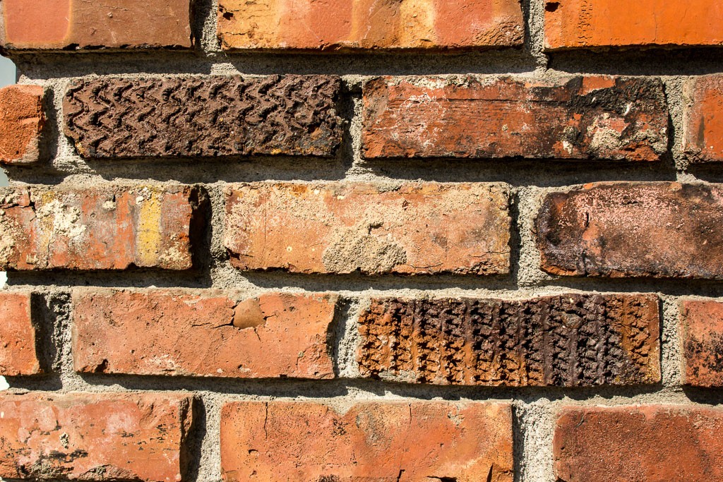 Typical photographer "brick wall" shot, but these bricks had an interesting texture.