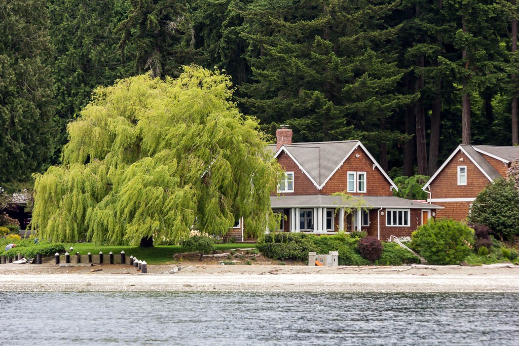 Mostly jealous of their gorgeous weeping willow tree