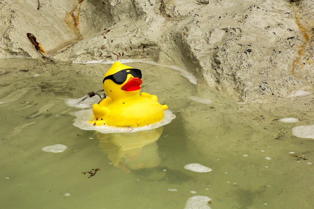 Rubber duckie in the pond