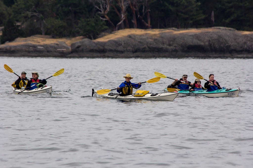 Ambitious and brave kayakers. We think they came from Roche Harbor. Longer paddle than I would want to do!