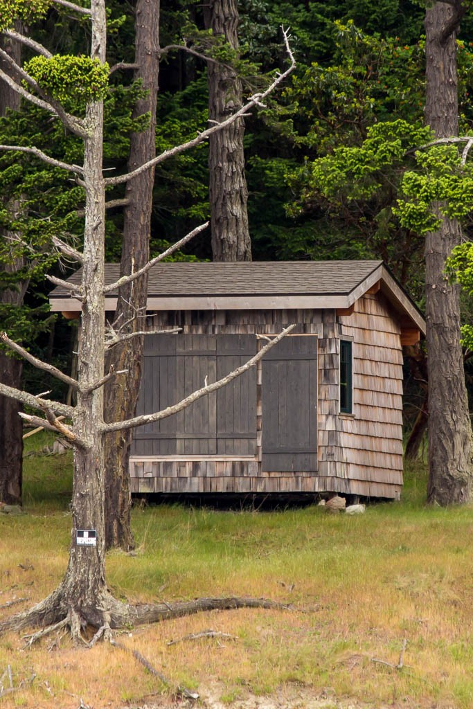 Boarded up cabin. If it's a vacation rental, it better be cheap!