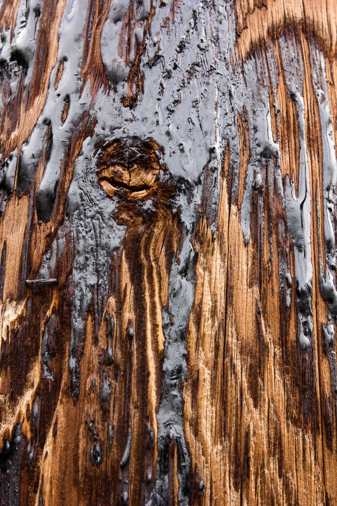 Fascinating tar on the pilings. I know I take photos of really random shit...