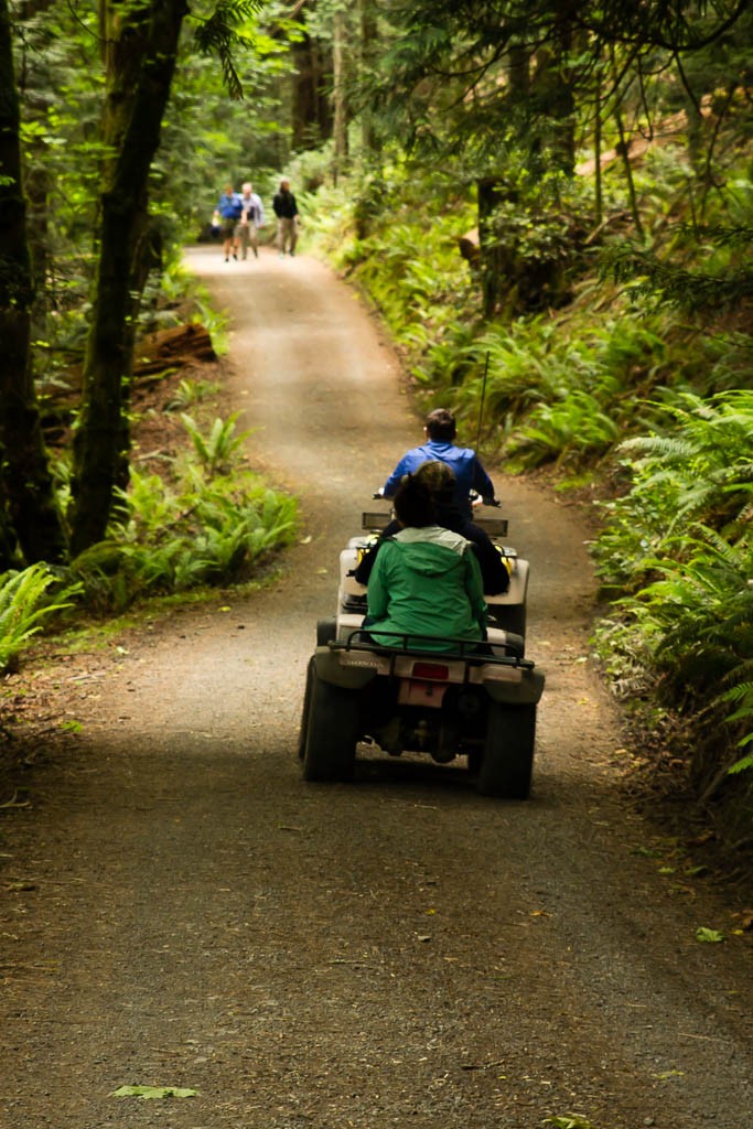 Traffic jam on Stuart Island.