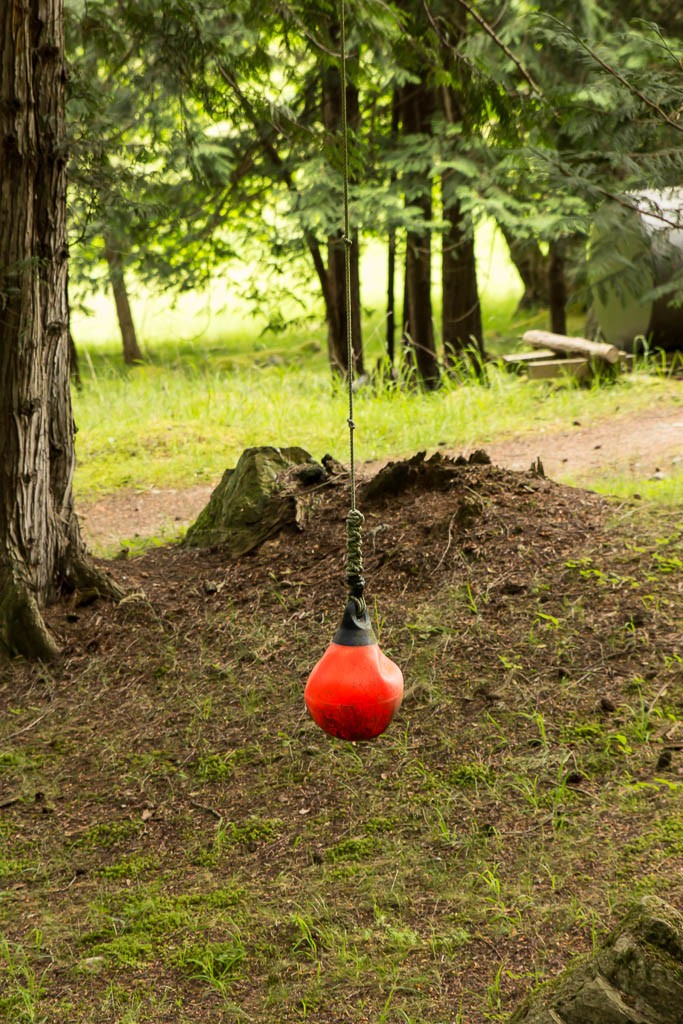 Brilliant repurposed "tire swing".  I may put one in my yard! (if I had a tree)