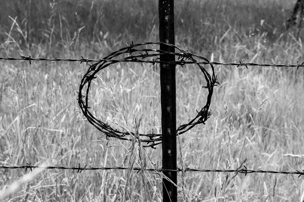 Barbed wire fence