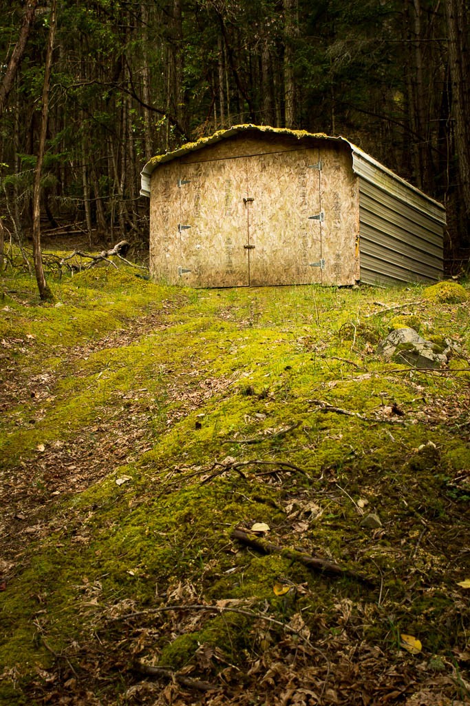 Portrait of a plywood barn