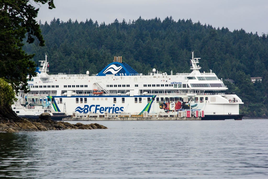 There were 4-5 ferries of various sizes parked here. 