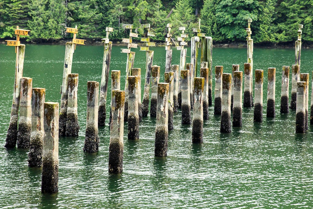 Old Pilings