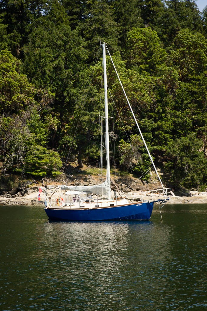 Nice little cobalt blue sailboat