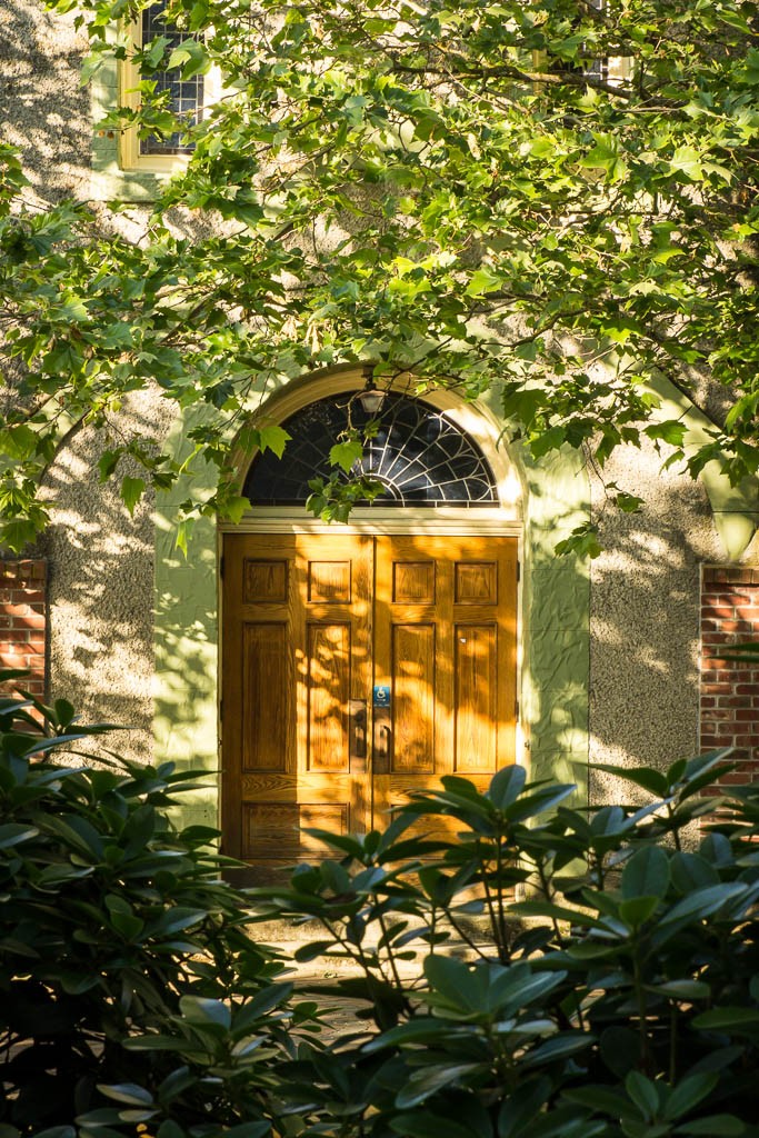 Pretty door