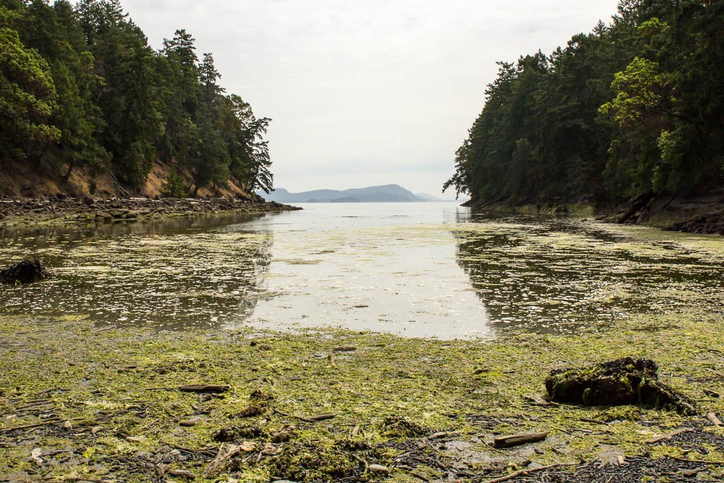 Some not so clear water, but there was a beach!