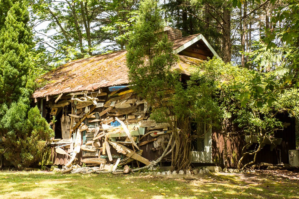 It's literally covered in driftwood