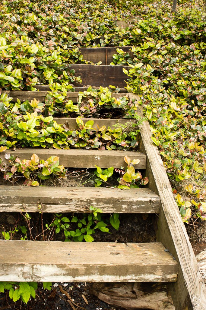 Stairs to the beach