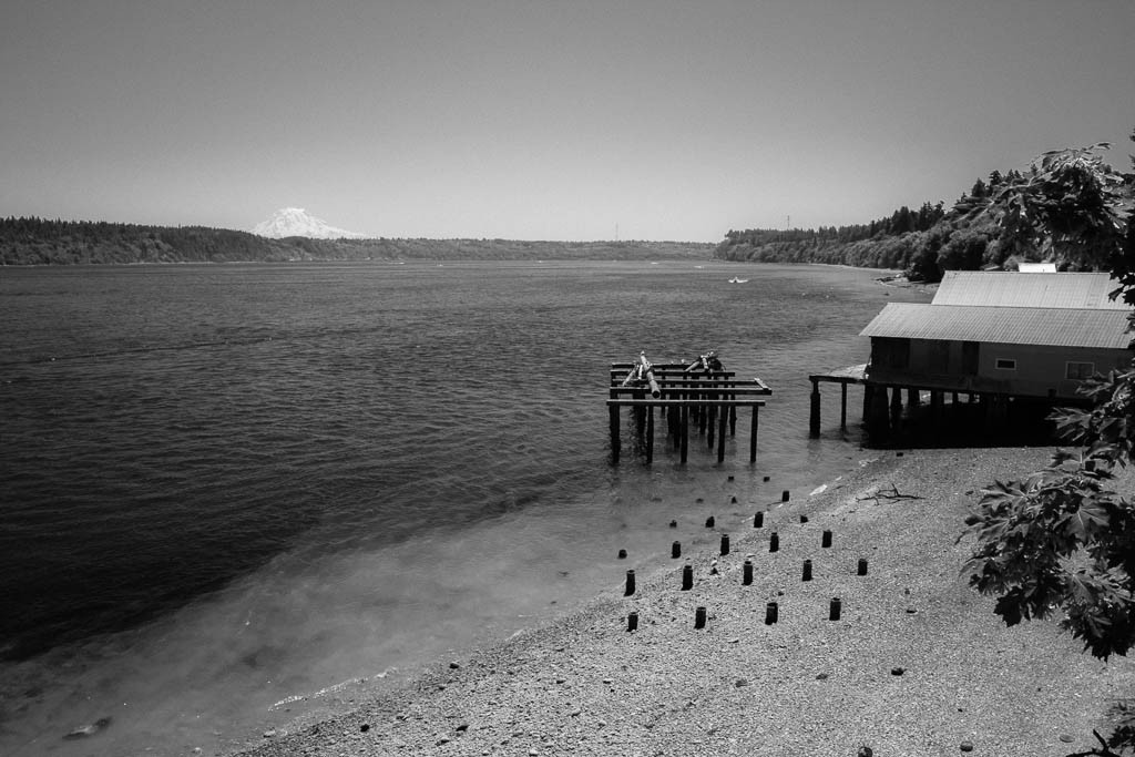 Super low tide. Pilings and part of the pier is left.