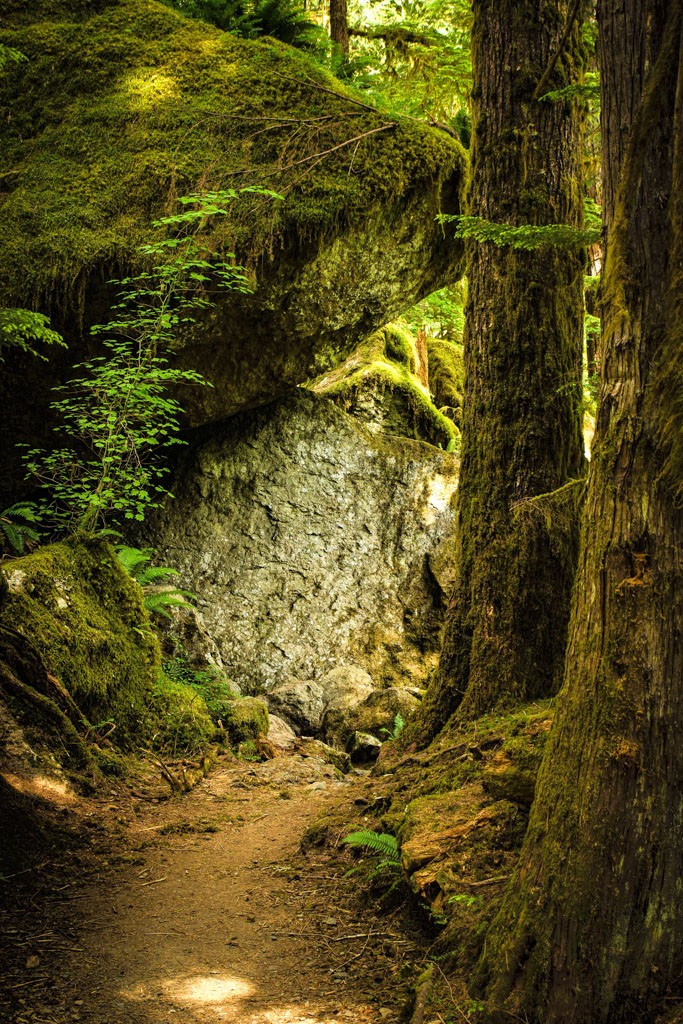 Trail through the boulders