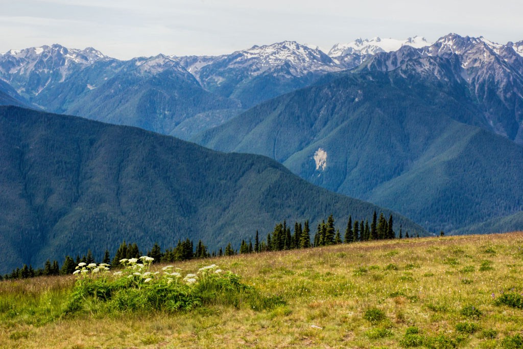 This is the view from the visitor center