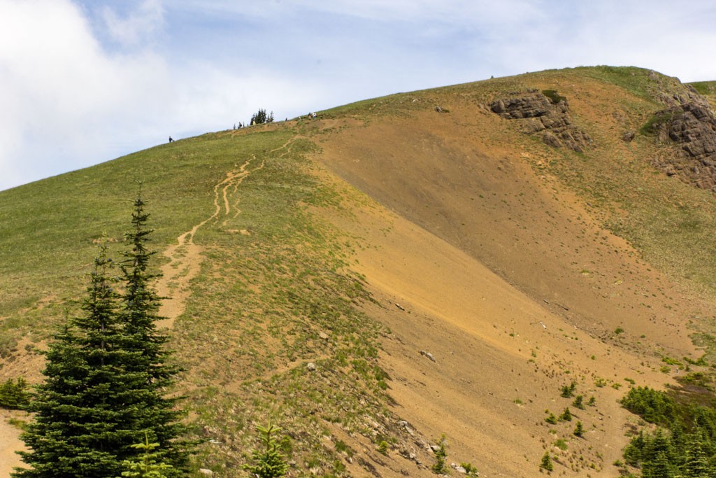 Up on the ridge