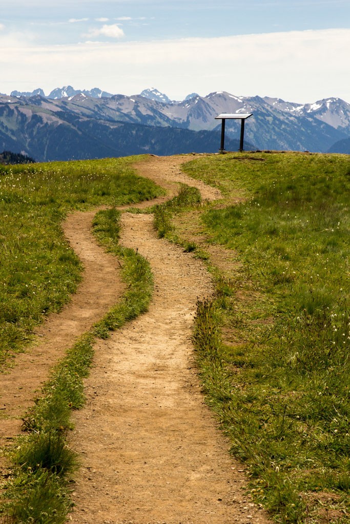 Trail to the viewpoint