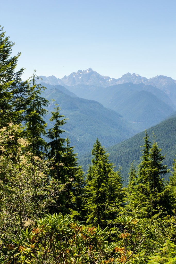 Olympic mountains