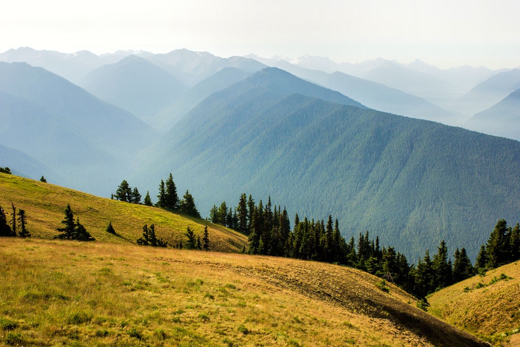 Olympic Mountains