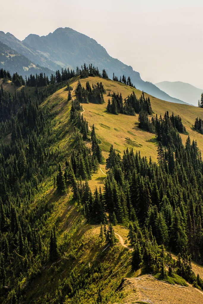 We really need to go and hike this trail.