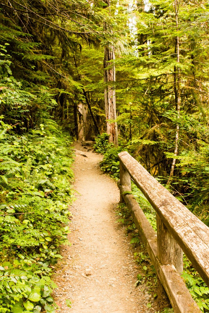 Small wooden bridge