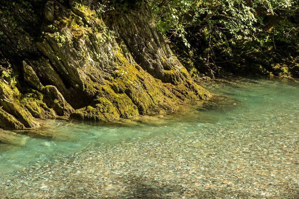 Jason and I found a little walking trail along a creek. The water is so clear here!