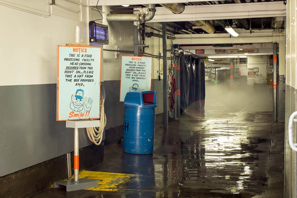 Washdown at some sort of fish processing plant