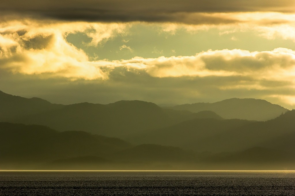 Golden rays of light on the water