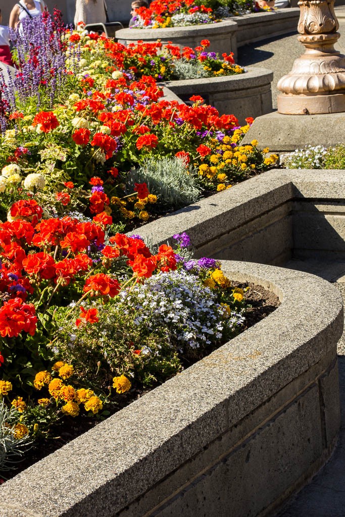 Shapes and flowers