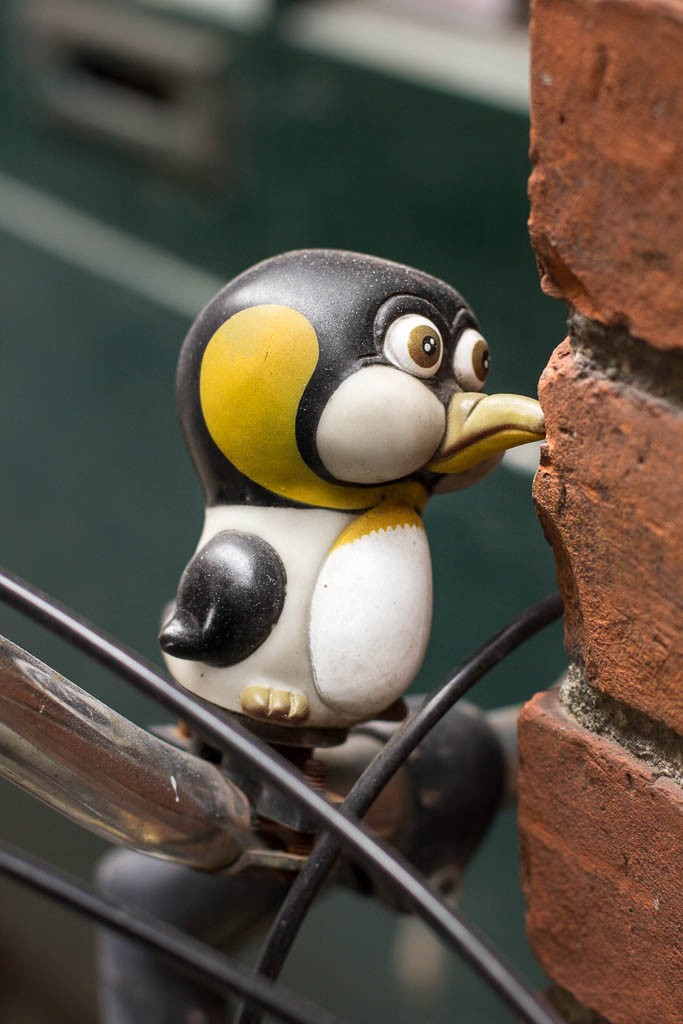 Cute little penguin on a bicycle