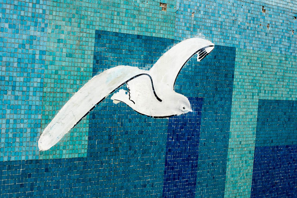 Painted seagull over tile