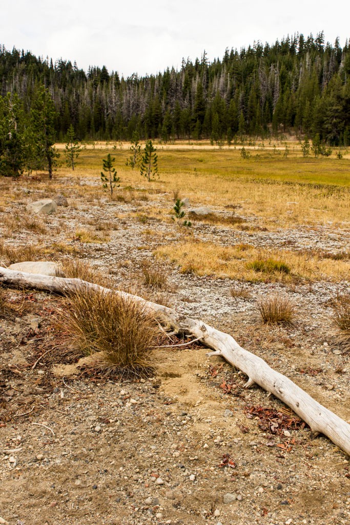 We were out exploring by Bend, OR killing time until we could check into our hotel for the weekend. 