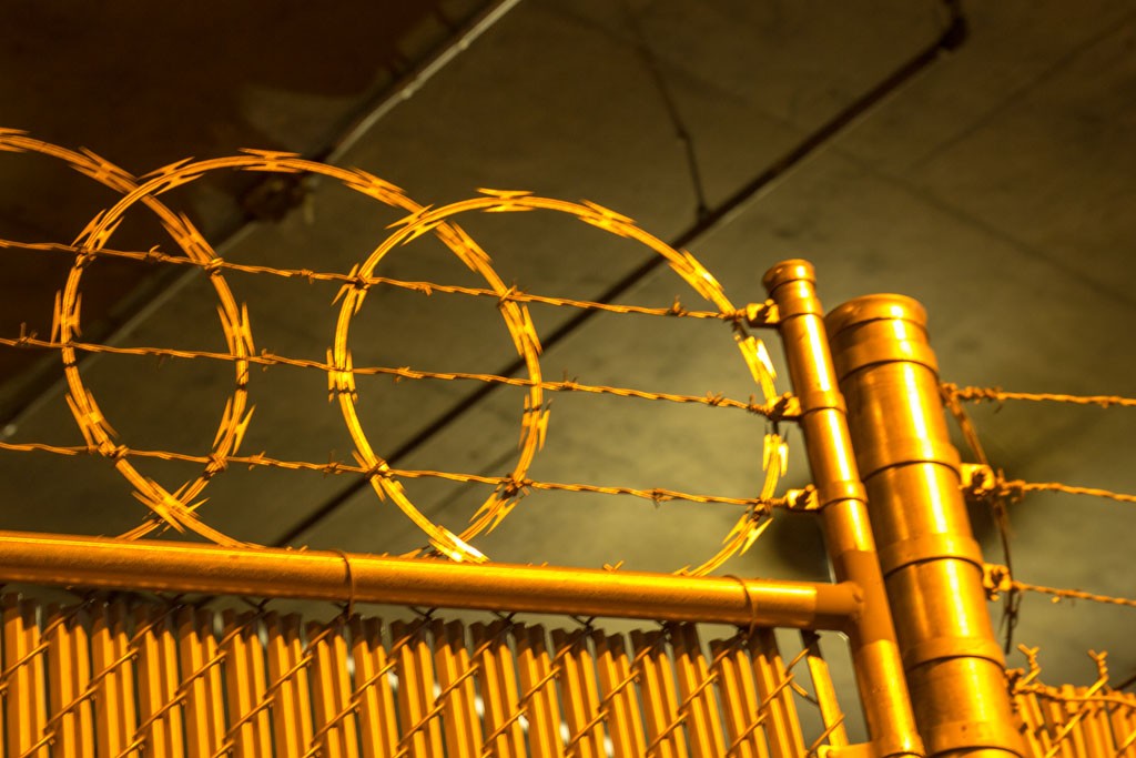 Cheery yellow razor wire