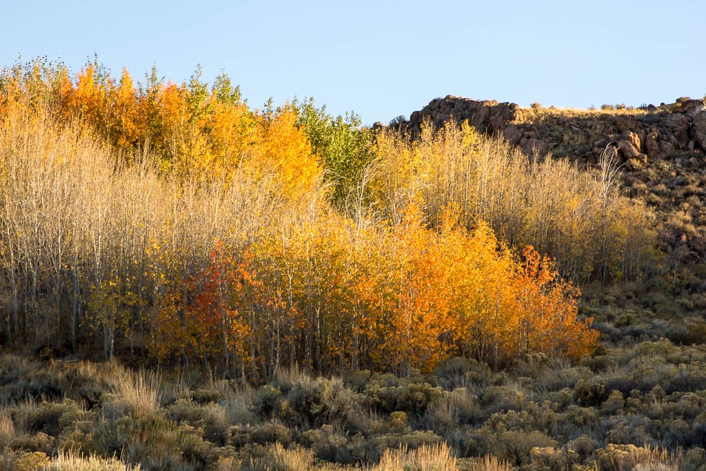 Beautiful fall colors. Jason was so happy...