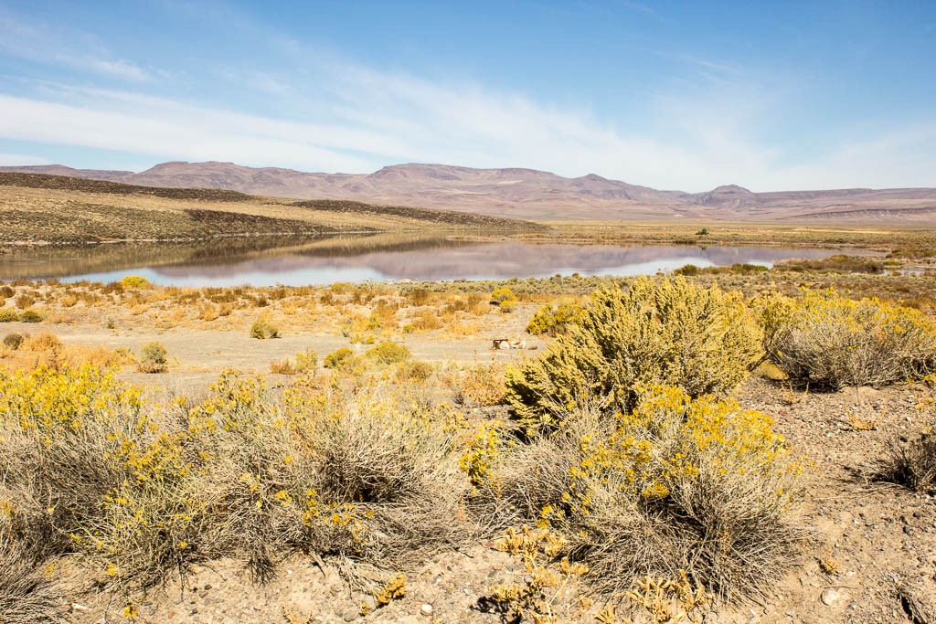 Pretty little lake in the middle of the desert