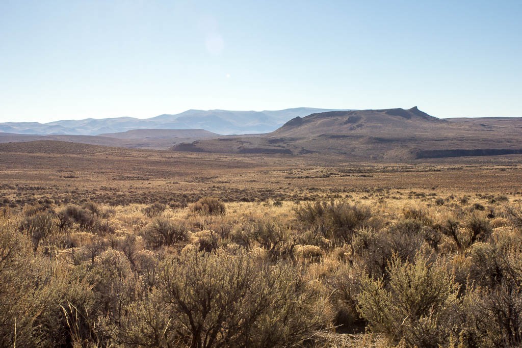 More sagebrush