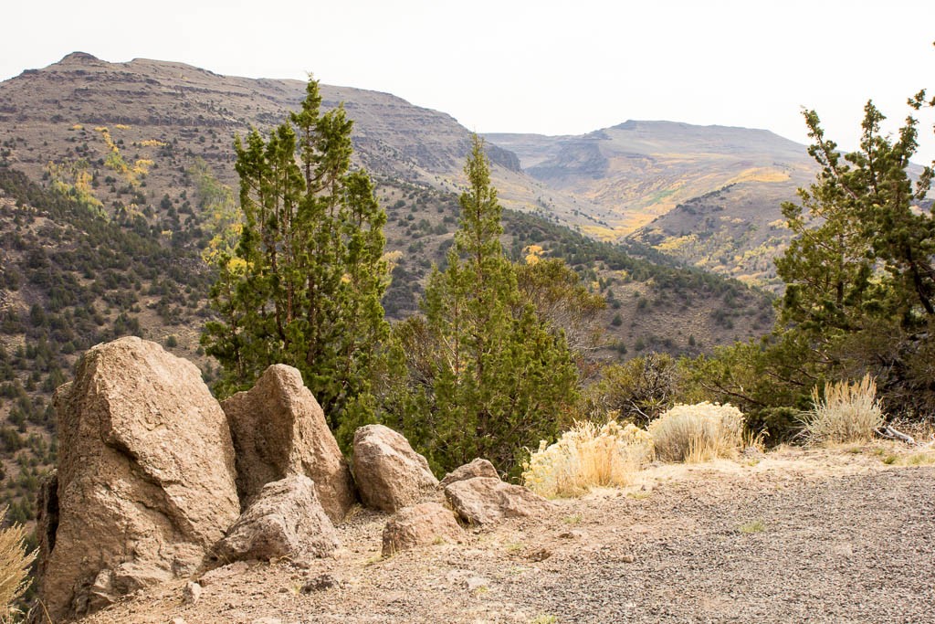 Rocks lining the road