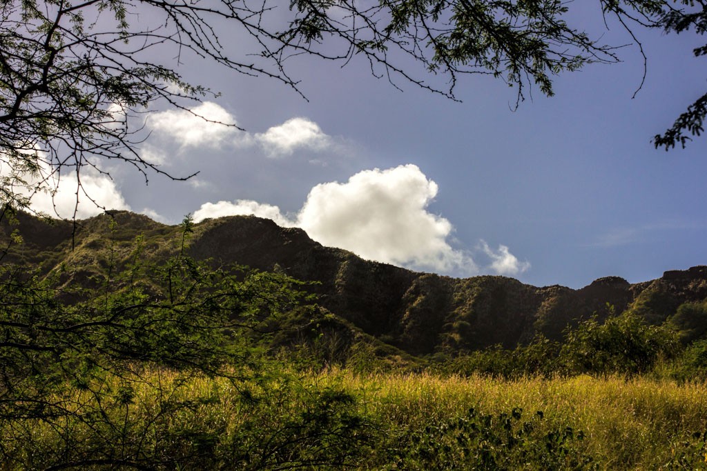 Grasslands