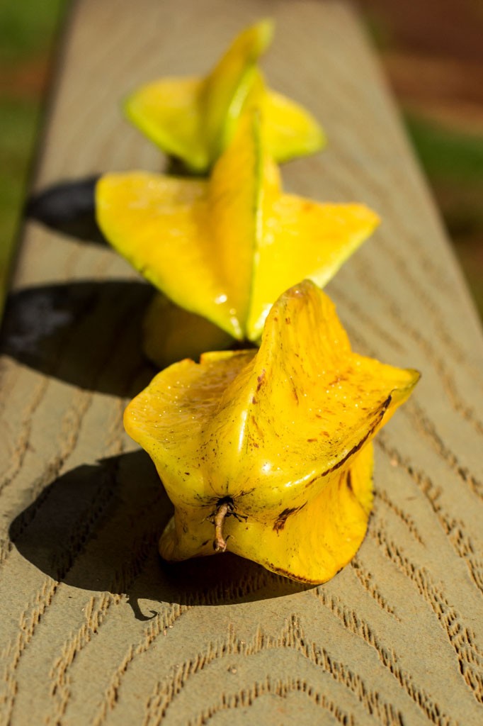 Starfruit on a railing. No idea why. 