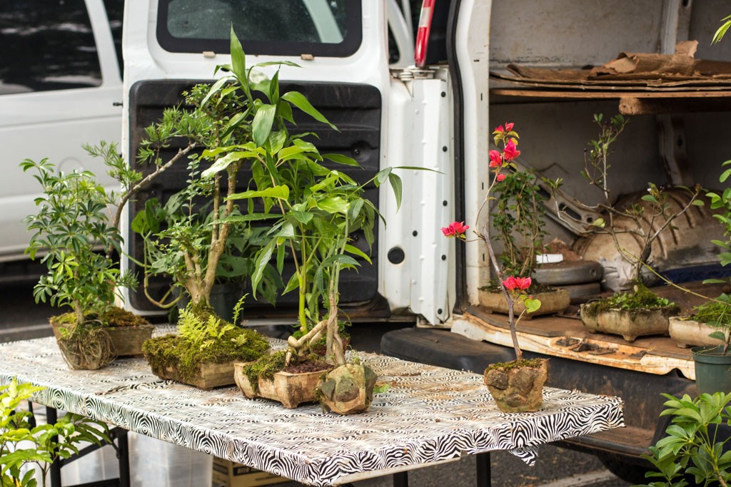 You can also buy live plants and antiques at the swap meet.