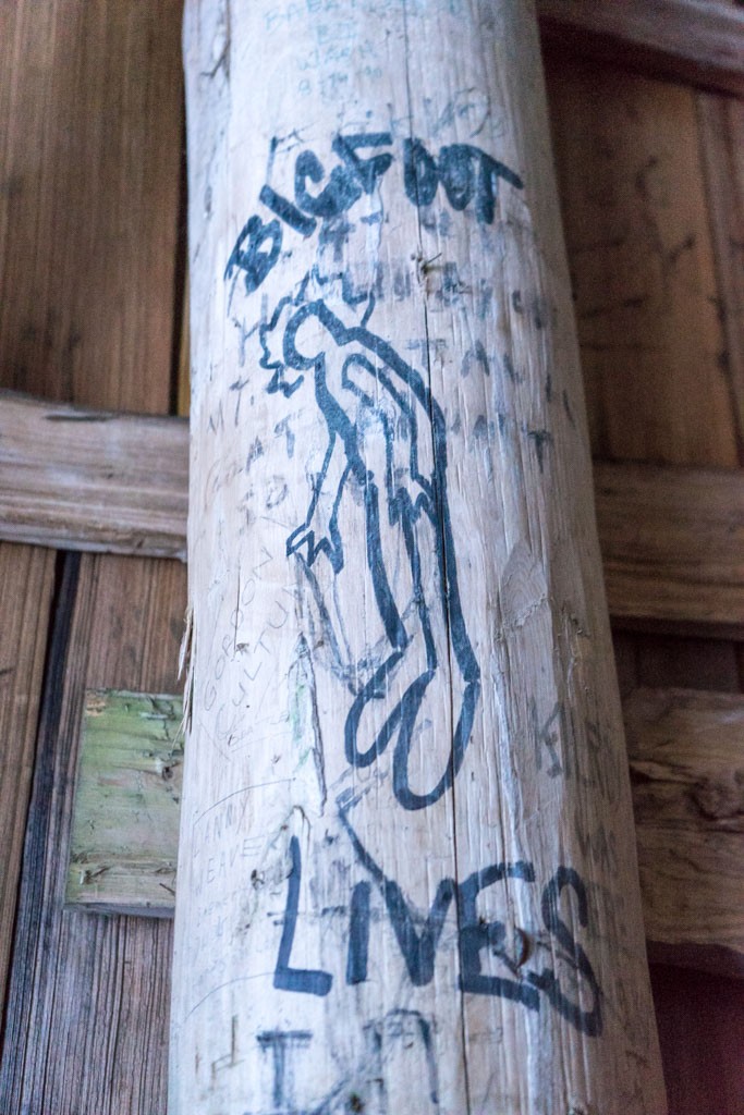 Drawings in the camping shelter 